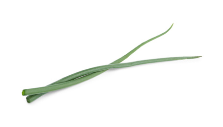 Fresh green spring onions isolated on white