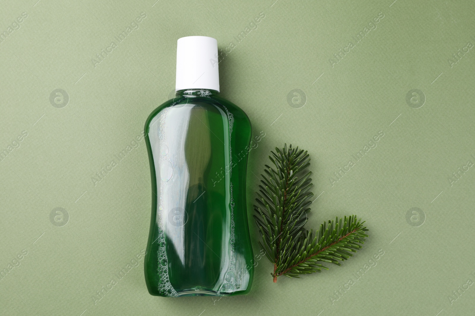 Photo of Fresh mouthwash in bottle and fir branches on green background, top view