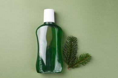 Fresh mouthwash in bottle and fir branches on green background, top view