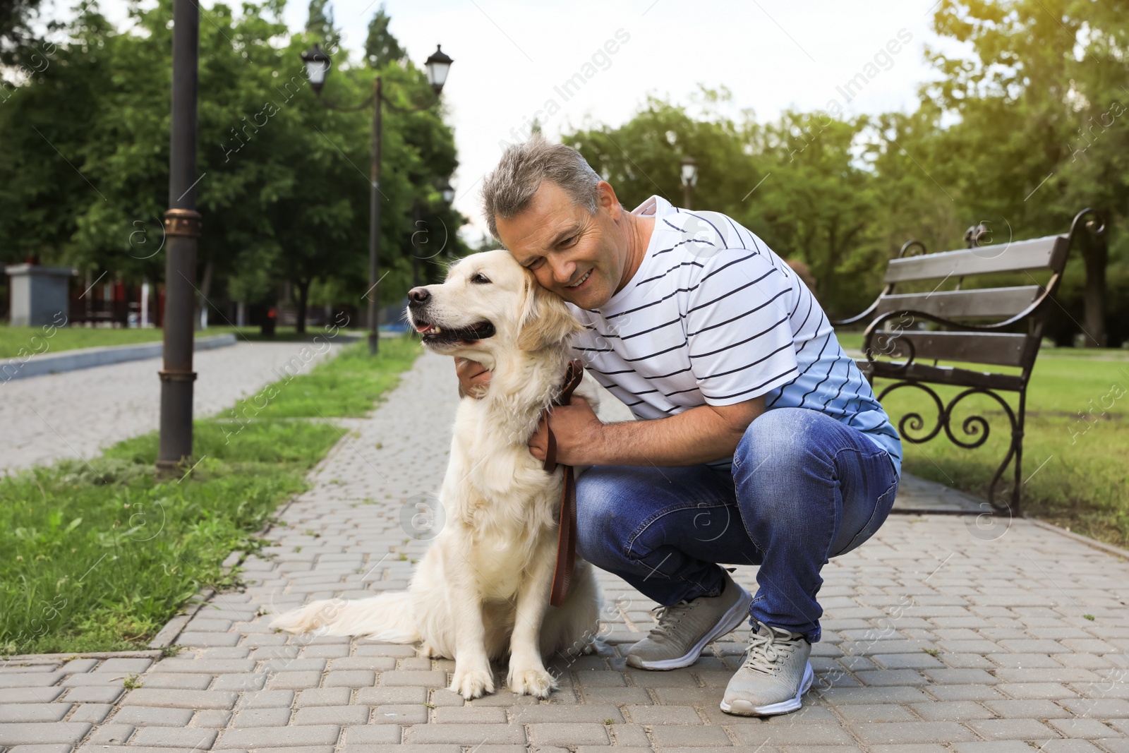 Photo of Happy senior man with his Golden Retriever dog in park