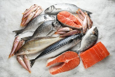 Photo of Fresh fish and seafood on ice, flat lay