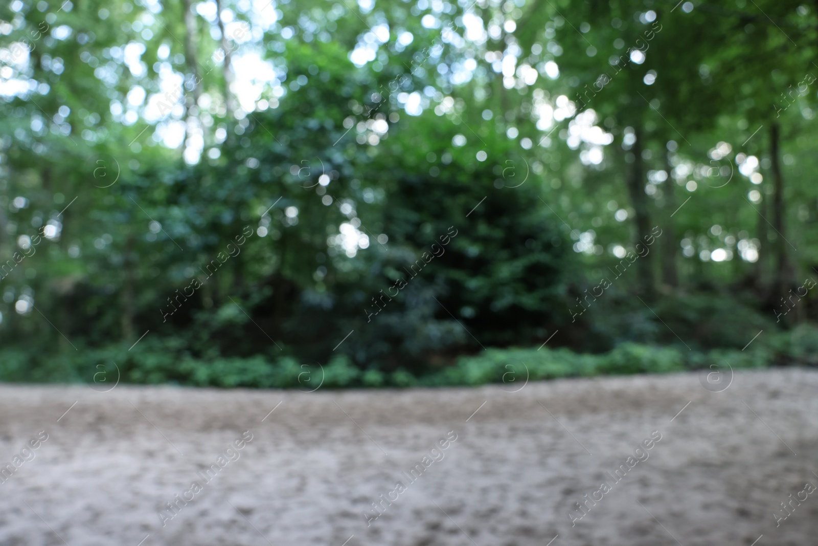 Photo of Blurred view of green trees in forest