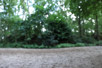 Blurred view of green trees in forest