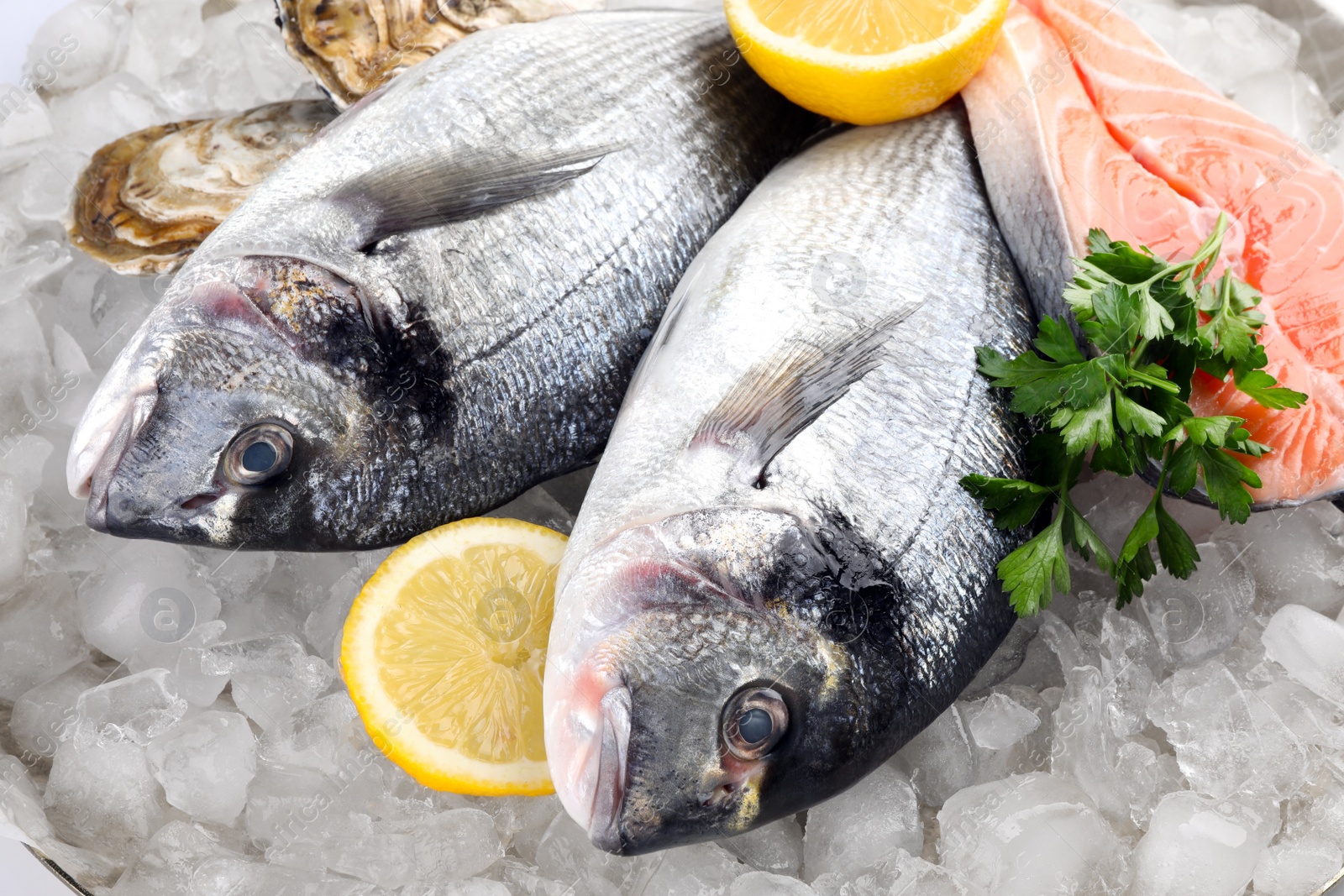 Photo of Fresh dorado fish, salmon and oysters on ice, closeup