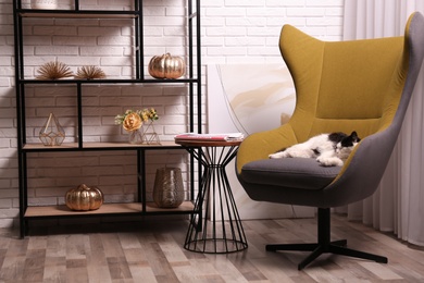 Photo of Cute cat in armchair near shelving at home. Interior design