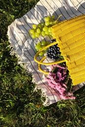 Yellow wicker bag with beautiful flowers, grapes and blueberries on picnic blanket outdoors, top view