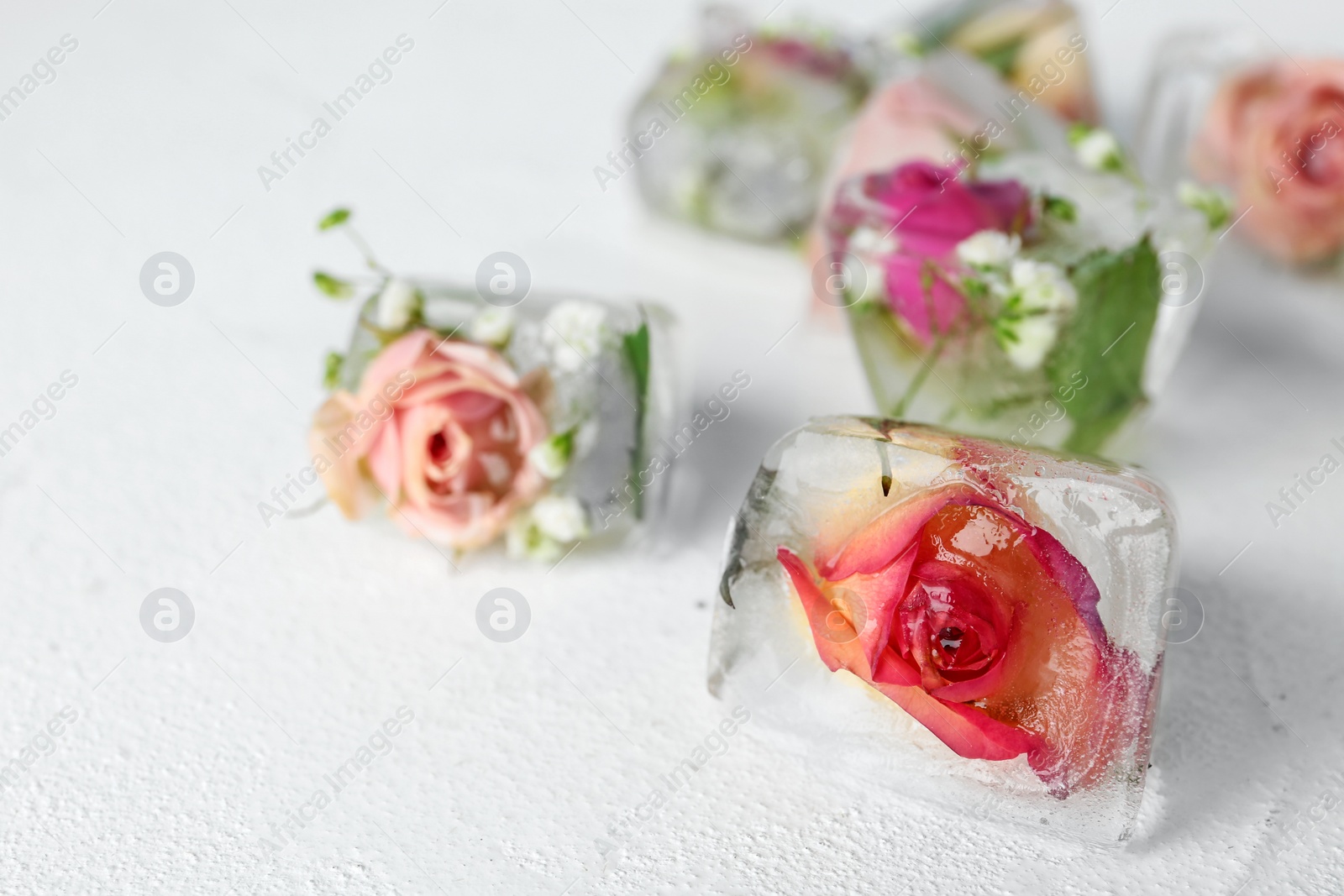 Photo of Ice cubes with flowers on white background, closeup. Space for text