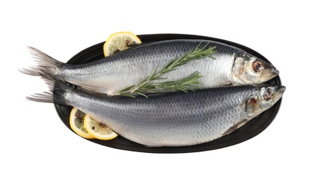 Plate with salted herrings, slices of lemon, peppercorns and rosemary isolated on white, top view
