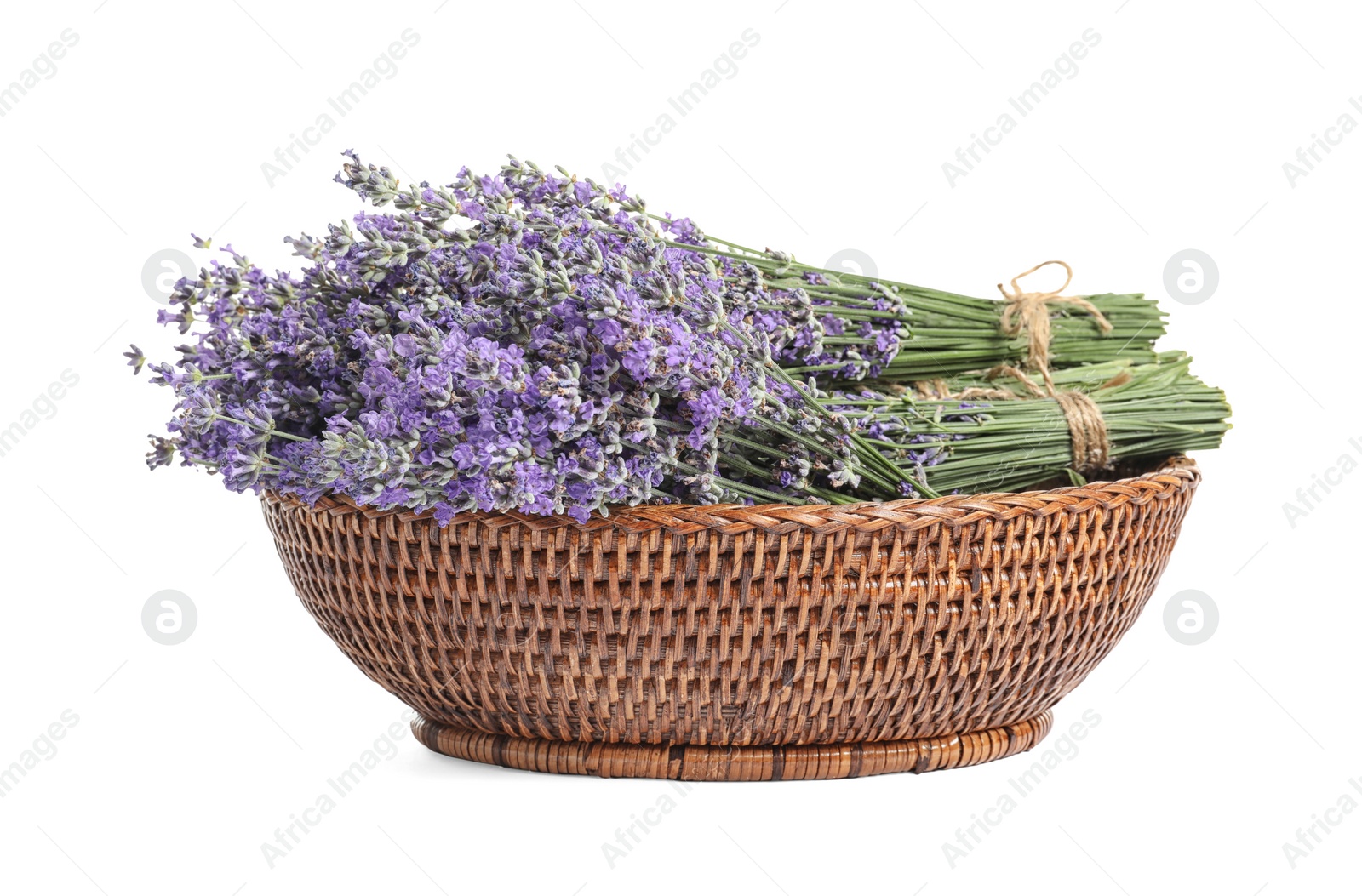 Photo of Fresh lavender flowers in basket on white background