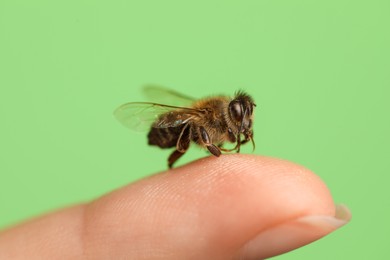 Photo of Bee going to sting woman on green background, closeup