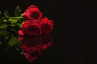 Beautiful red roses on black background. Funeral symbol