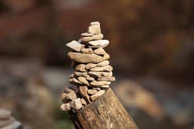 Photo of Tower of stones on tree stump in forest. Life balance