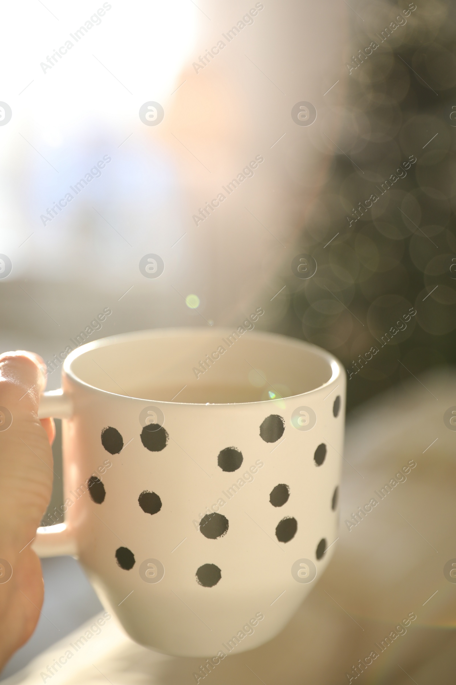 Photo of Woman with cup of cocoa indoors, closeup. Christmas mood