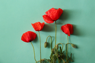 Beautiful red poppy flowers on light blue background, flat lay