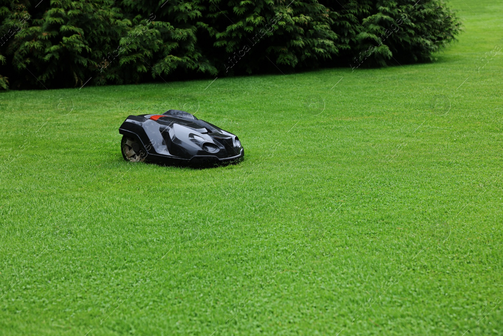 Photo of Modern lawn mower on green grass outdoors. Space for text