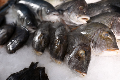 Photo of Different types of fresh fish on ice in supermarket, closeup