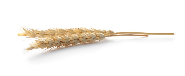 Photo of Spikelets on white background. Healthy grains and cereals