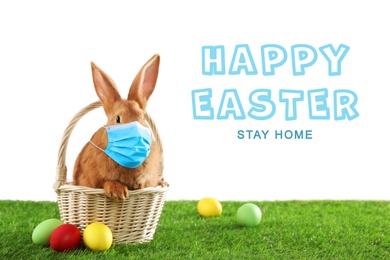 Text Happy Easter Stay Home and cute bunny in protective mask on green grass. Holiday during Covid-19 pandemic