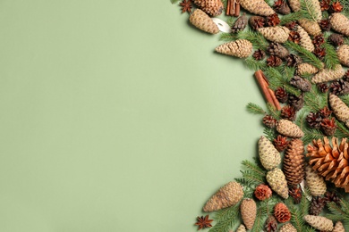 Photo of Flat lay composition with pinecones on green background, space for text