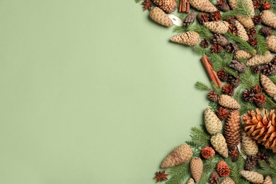 Flat lay composition with pinecones on green background, space for text