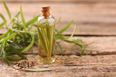 Aromatic essential oil in bottle and rosemary on wooden table, closeup. Space for text