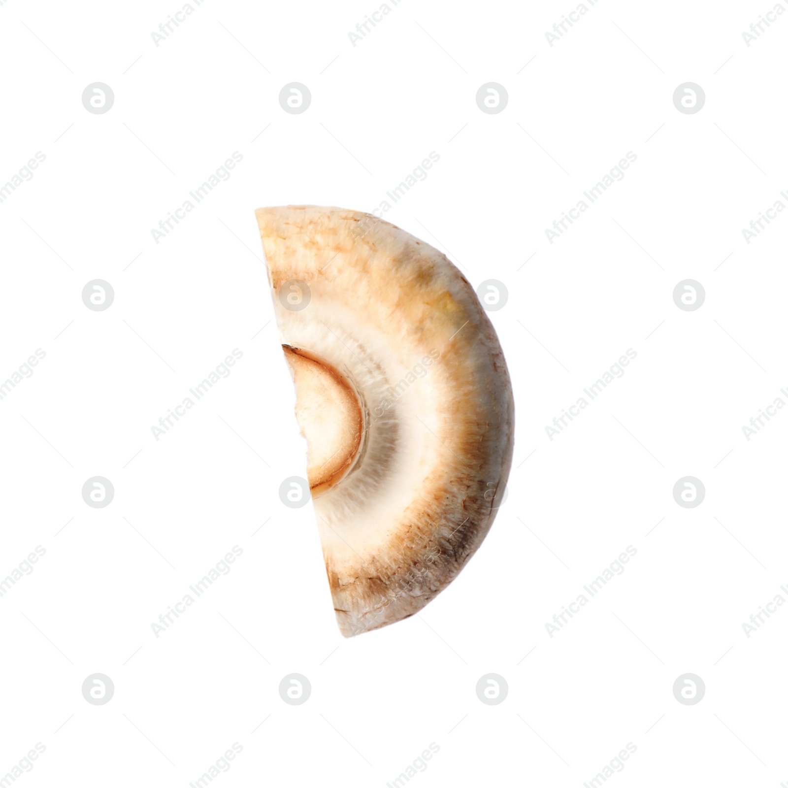 Photo of Piece of fresh mushroom on white background