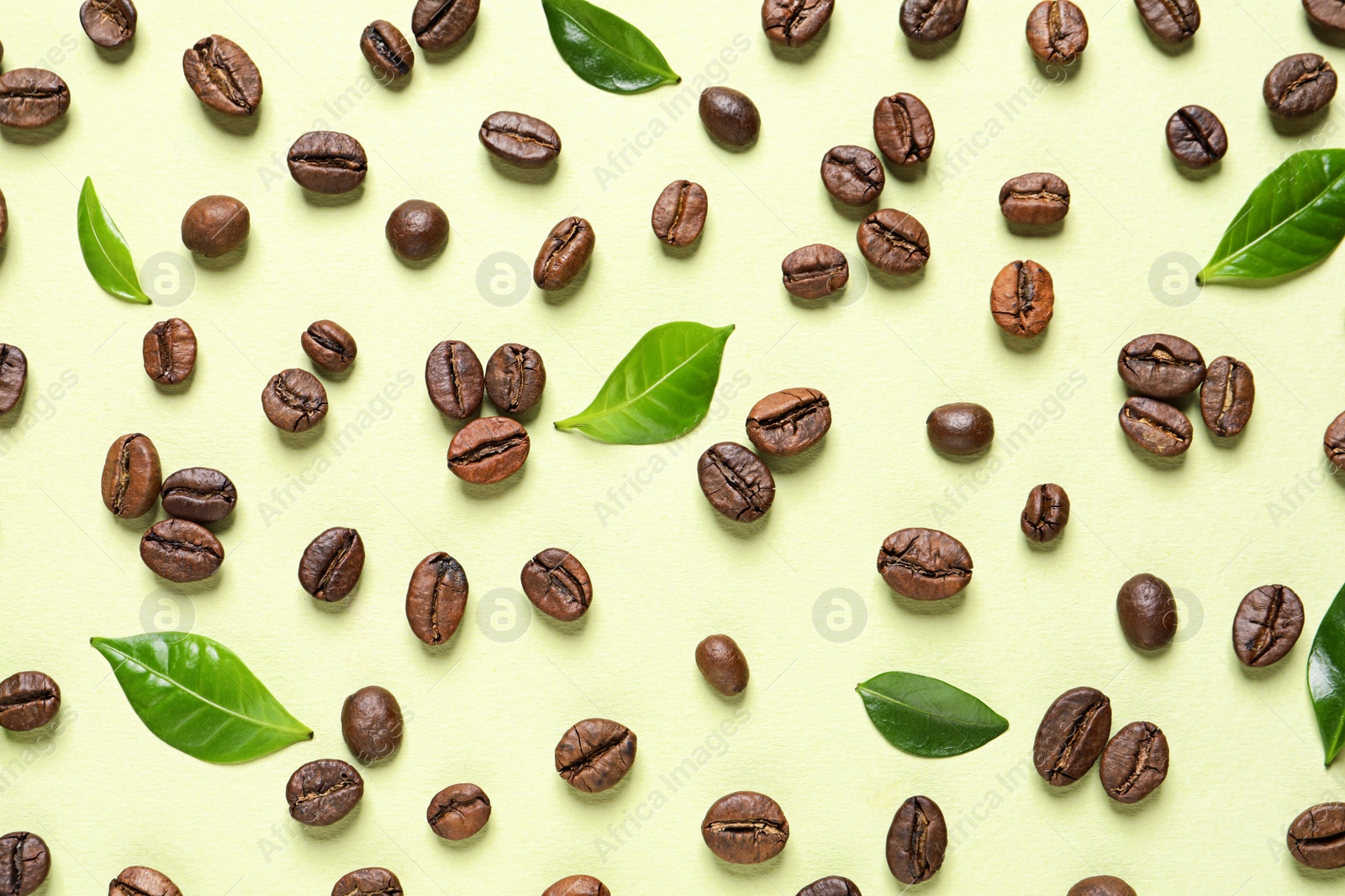 Photo of Fresh green coffee leaves and beans on light green background, flat lay