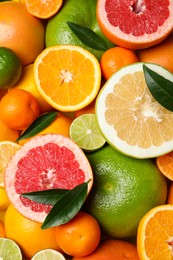 Different ripe citrus fruits with green leaves as background, top view