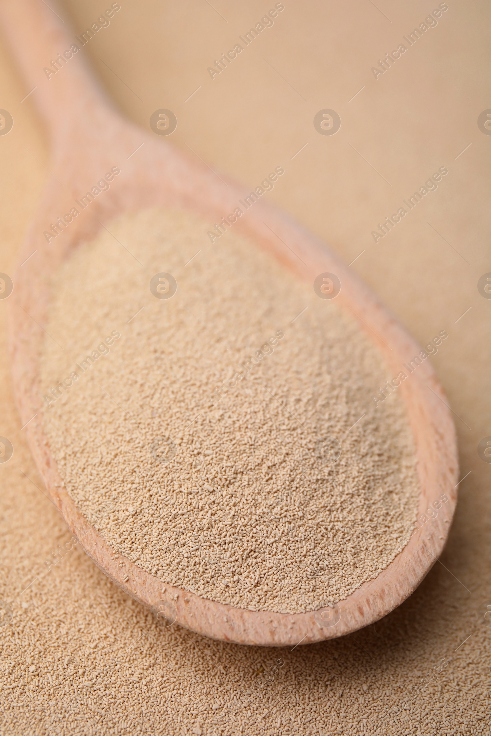 Photo of Spoon with granulated yeast, closeup view. Ingredient for baking