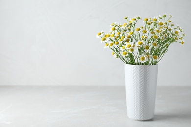 Vase with beautiful chamomile flowers on light grey table. Space for text