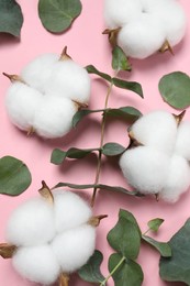 Cotton flowers and eucalyptus leaves on pink background, flat lay