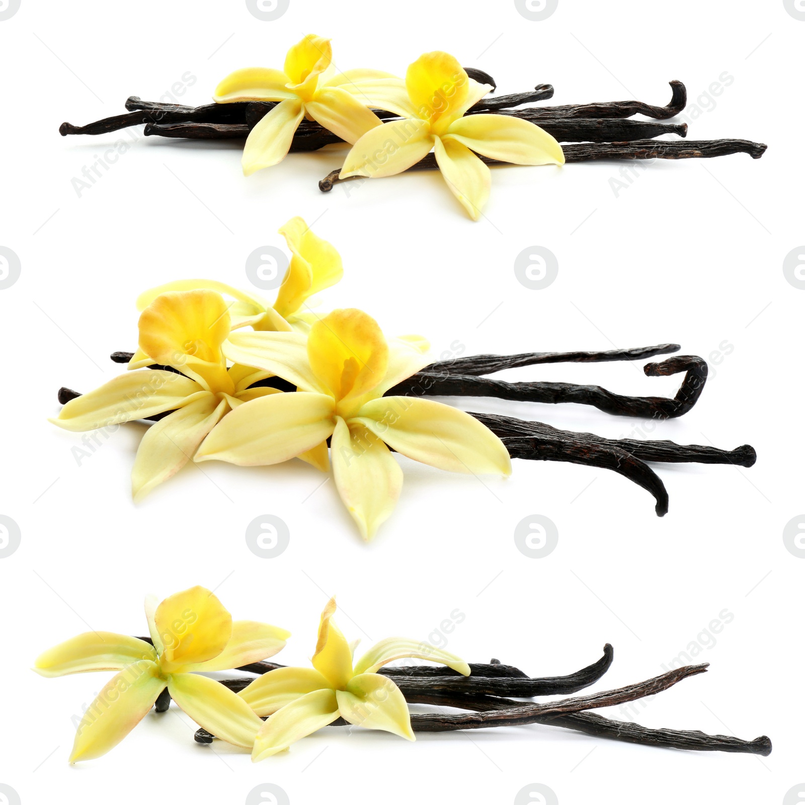 Image of Set with aromatic vanilla pods and flowers on white background