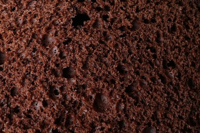 Tasty chocolate sponge cake as background, closeup