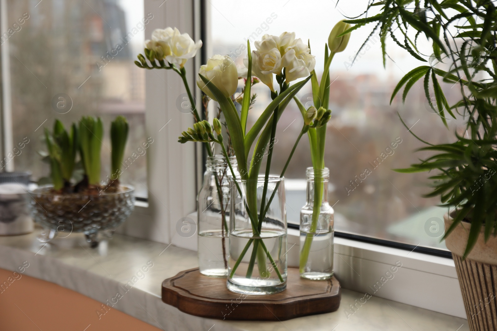 Photo of Different beautiful spring flowers on windowsill indoors