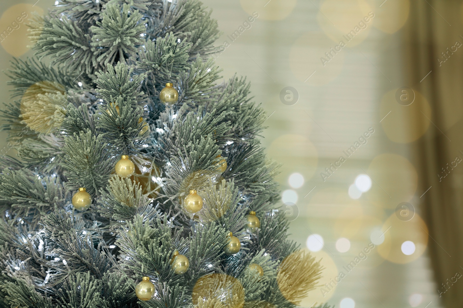 Photo of Beautiful Christmas tree against blurred festive lights. Space for text