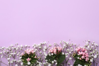 Photo of Beautiful floral composition with gypsophila on violet background, flat lay. Space for text