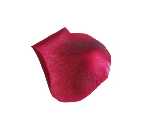 Red rose flower petal on white background