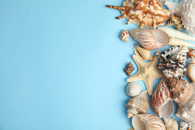 Different beautiful sea shells on light blue background, flat lay. Space for text