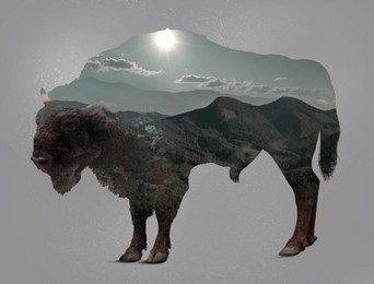 Image of Double exposure of bison and mountain landscape
