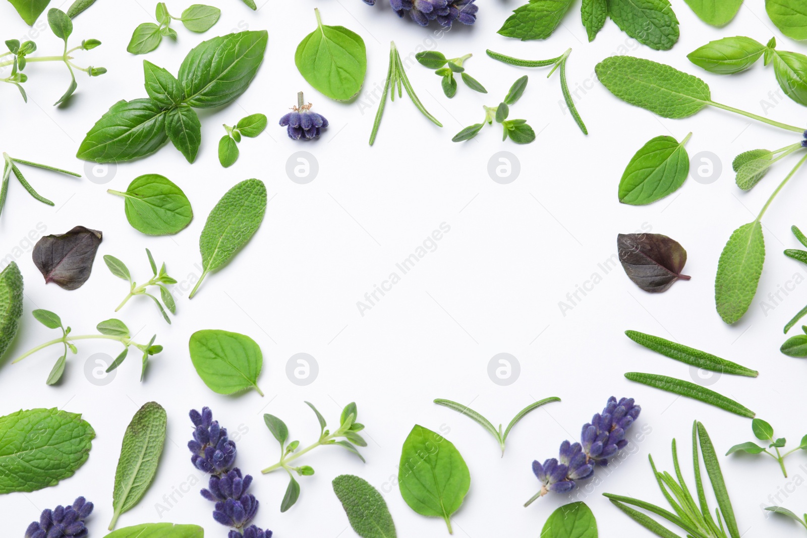 Photo of Frame made with different aromatic herbs on white background, flat lay. Space for text
