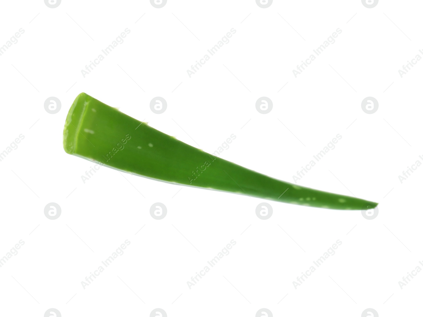 Photo of Aloe vera leaf on white background