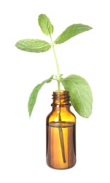 Photo of One bottle with essential oil and mint isolated on white