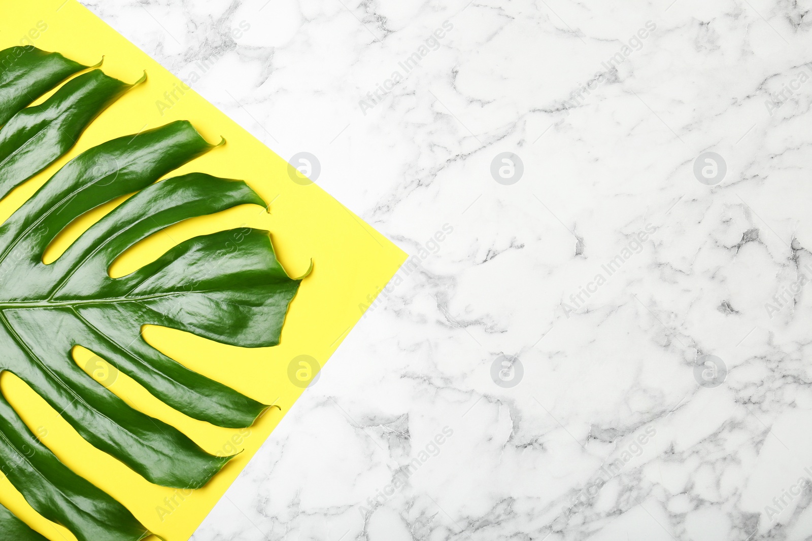 Photo of Composition with tropical monstera leaf on marble background, top view