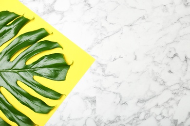 Composition with tropical monstera leaf on marble background, top view