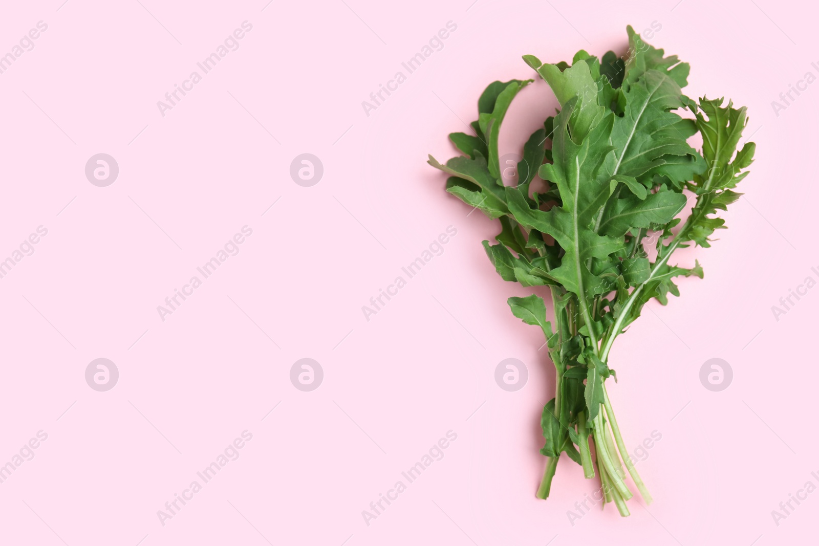 Photo of Fresh arugula on light pink background, flat lay. Space for text