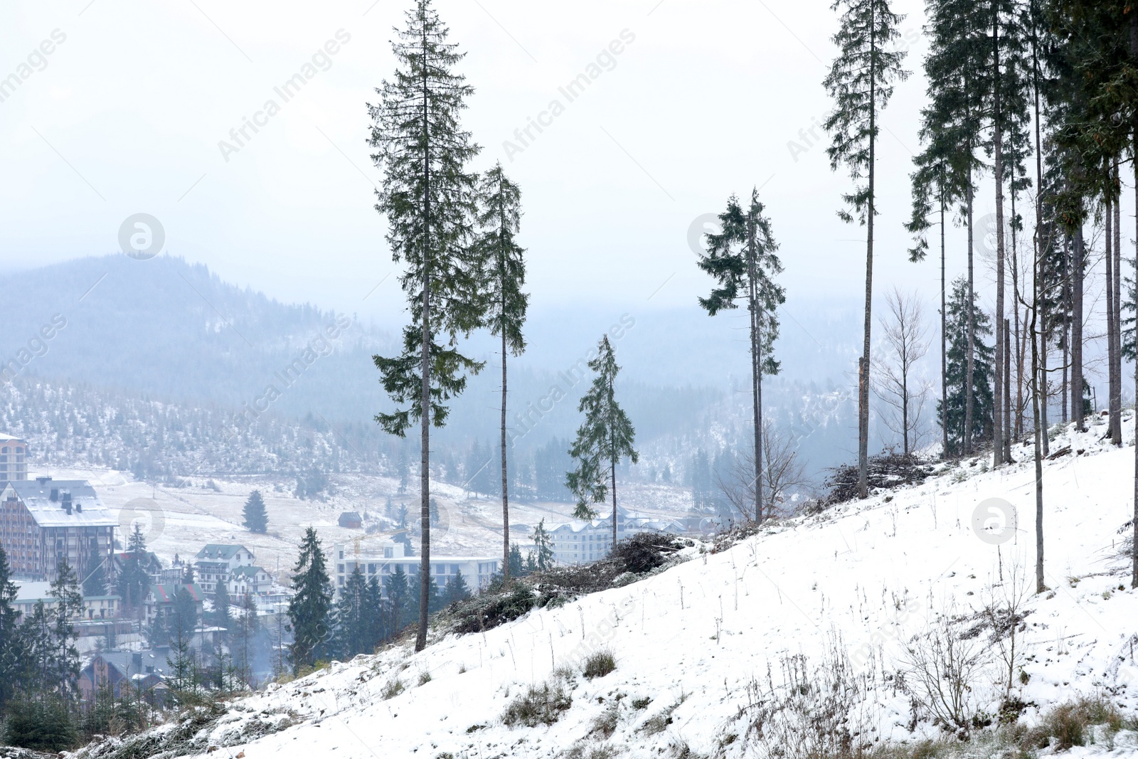 Photo of Beautiful view of small town in snowy valley. Winter vacation