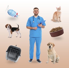 Image of Collage with photos of veterinarian doc, pets, food and accessories on color background
