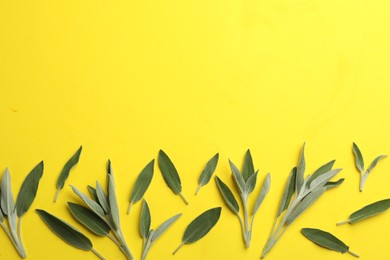 Fresh green sage leaves on yellow background, flat lay. Space for text