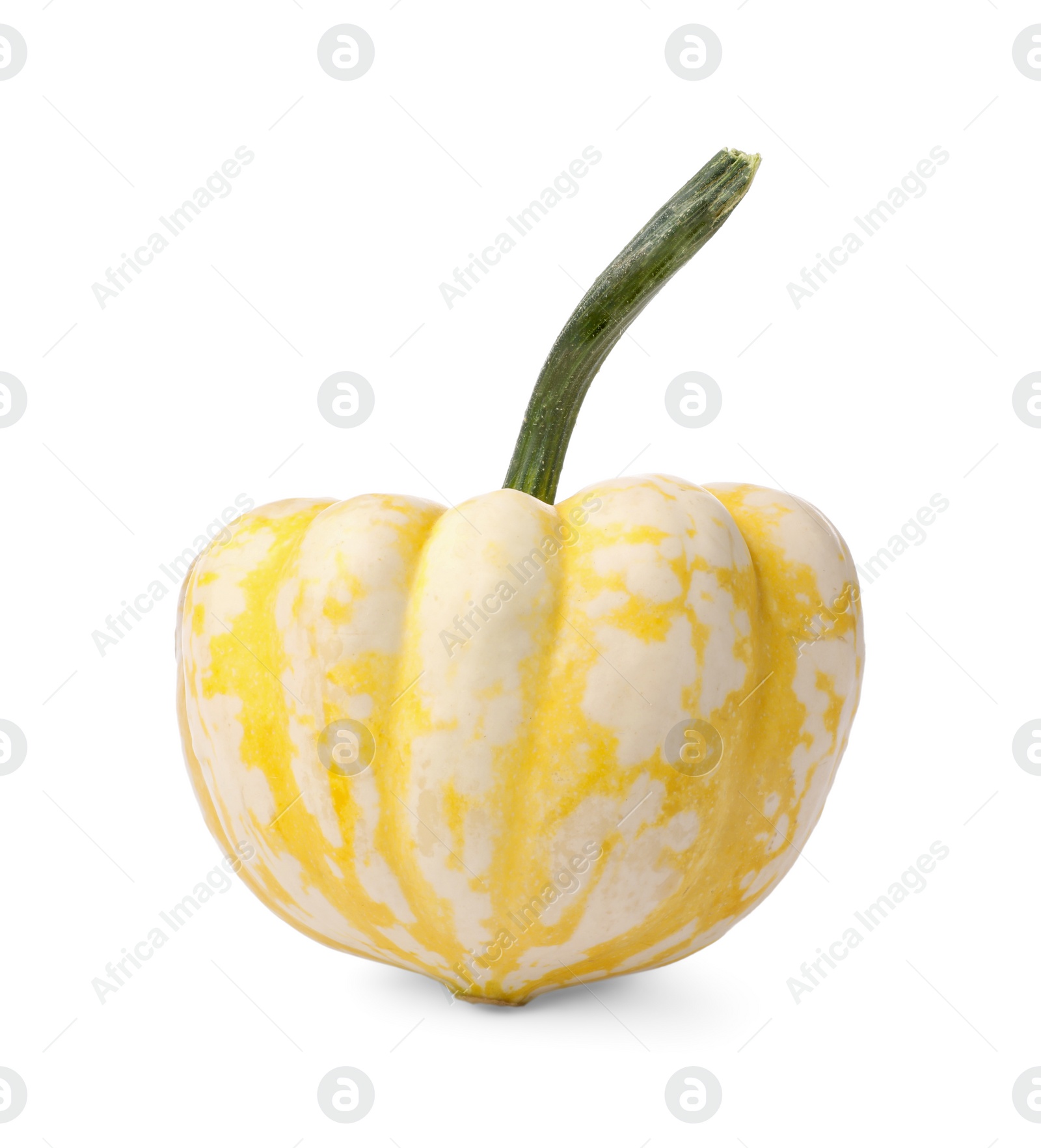 Photo of One fresh ripe pumpkin isolated on white