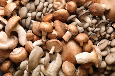 Fresh wild mushrooms as background, top view. Edible fungi